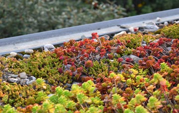 the cost of Park Corner green roof installation